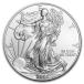 [�ۏ؏��E�J�v�Z���t��] 2002�N (�V�i) �A�����J�u�C�[�O���E�E�H�[�L���O ���o�e�B�v���� 1�I���X ���