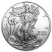 [ письменная гарантия * капсулпа со стартером ] 2010 год ( новый товар ) America [ Eagle *uo- King Liberty ] оригинальный серебряный 1 унция серебряная монета 