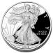 [�ۏ؏��E�J�v�Z���t��] 2015�N (�V�i) �A�����J�u�C�[�O���E�E�H�[�L���O ���o�e�B�v���� 1�I���X �v���[�t ���