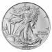 [ written guarantee * capsule with a self-starter ] 2024 year ( new goods ) America [ Eagle *uo- King Liberty ] original silver 1 ounce silver coin 