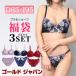 ブラジャー 大きいサイズ レディース 下着 セット ブラ ショーツ レース 脇高 フリル シアー チャーム 冬コーデ 春 夏 秋 冬 LL 2L 3L 4L 5L ゴールドジャパン