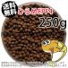  выход на поверхность ./ день Kiyoshi круг .. стоимость обычный .EPF4(4.6mm)250g небольшое количество . товар ( почтовая доставка | золотая рыбка маленький магазин -.- Fukuoka |3 день )