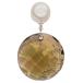  Swarovski SWAROVSKI earth окно произведение искусства украшение 1003284 прозрачный Brown 2010 год ограничение орнамент очарование 