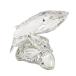  Swarovski SWAROVSKI SCS участник ограничение кит произведение искусства украшение 164614 прозрачный 