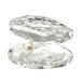  Swarovski SWAROVSKI ракушка white pearl произведение искусства украшение прозрачный .
