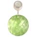  Swarovski SWAROVSKI bamboo Wind - произведение искусства украшение 905542 прозрачный зеленый орнамент очарование 
