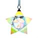  Swarovski SWAROVSKI Star орнамент 5283478 прозрачный crystal AB маленький 
