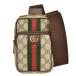 Gucci GUCCI off .tia сумка на плечо сумка "body" GGs шкив m парусина 752565 бежевый Sherry линия 