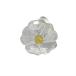  Swarovski SWAROVSKI дикий цветок произведение искусства украшение 5244642 прозрачный SCS ограничение 