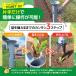 �n���h�v�����^�[SP �� S�T�C�Y �X�s�[�h�c�g���[�Z�b�g �n���h�ڐA�� �@�B �c�A�� �A���t�� �y�� ��y �c�A����� �������܂� �֘A�摜3