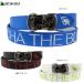  ремень Golf ремень Gotcha Golf 261GG8100B мужской 26 весна лето обратная сторона сетка цвет отверстие отсутствует ремень GOTCHA GOLF