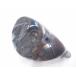  есть перевод не использовался head одиночный товар ROYAL COLLECTION Royal Collection RC TM-X служебная программа для head parts U2(18 раз )*MP@1*V*223