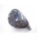  есть перевод не использовался head одиночный товар ROYAL COLLECTION Royal Collection RC TM-X служебная программа для head parts U4(24 раз ) *MP@1*V*223