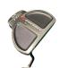  Odyssey DFX 2*BALL 34 дюймовый короткая клюшка PT Flex прочее 