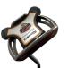  TaylorMade Rossa agsi+ SPIDER 34 дюймовый короткая клюшка PT Flex прочее 