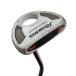  TaylorMade Rossa GHOST agsi+ CORZA 33 дюймовый короткая клюшка PT Flex прочее 