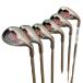  Callaway BIG BERTHA IRONS(2006) 6S женский железный комплект IR Flex L