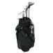  links SILVER CAT LV-F 10S(CB есть ) зеркальный ti комплект клюшек CS Flex SR
