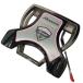  TaylorMade Rossa agsi+ SPIDER 32 дюймовый женский короткая клюшка PT Flex прочее 