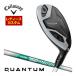 25%OFF купон объект специальный заказ custom Club Callaway QUANTUM MAX FASTwi мужской служебная программа N.S.PRO 750GH neo вал 