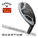 25%OFF купон объект специальный заказ custom Club Callaway QUANTUM MAX FASTwi мужской служебная программа SPDSTAR 40 LDY for Callaway вал 