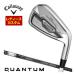  специальный заказ custom Club Callaway QUANTUM MAX FASTwi мужской железный одиночный товар [#6,AW] TENSEI 45 for Callaway вал 