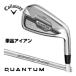 [ распродажа ] Callaway QUANTUM MAX FASTwi мужской железный SPDSTAR 40 for Callaway вал одиночный товар [#6,AW]