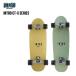  предварительный заказ Surf skate INTRO in Toro CT-X series 30 дюймовый 32 дюймовый Carving тренировка скейтборд серфинг сноуборд суша tore off tore