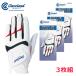 [ кошка pohs бесплатная доставка ][3 листов комплект ] Dunlop Golf перчатка ( перчатки ) мужской с одной стороны для Cleveland GGG-C002
