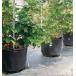  sun po Lisa n pot 80L Φ580×475mm [ бесплатная доставка ]
