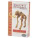 yama солнечный (Yamasan) Dino Fantasy каркас * комплект мамонт 510286-6 общая длина 18cm
