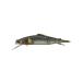 JACKALL( Jackal )otoli Minaux 138 RT. период форель 