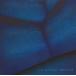 [CD][]Blue Arts Music Compilation