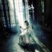 [CD][]SERRA / Always and Forever(2023/4/26ȯ)