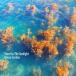 [ записано в Японии CD][ новый товар ]Turn On The Sunlight / Ocean Garden (2024/3/20 продажа )