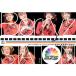 [DVD][] Berryz˼ / Berryz˼󥵡ȥĥ2012ա٥꡼ơ