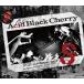 [ץ֥롼쥤]Acid Black Cherry / 2015 livehouse tour S--