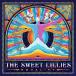 [͢����CD][����]Sweet Lillies / Equality(2023/9/29ȯ��)