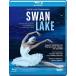 TCHAIKOVSKY/DYADURA / SWAN LAKE(2020/1/17ȯ��) (͢���ץ֥롼�쥤)[����]