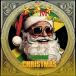 [ зарубежная запись LP запись ][ новый товар ]ERM ALL STARS / REGGAE CHRISTMAS(2025/12/12 продажа )