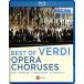 Verdi/Luisotti/Termirkanov/Brott/Orch E / Best Of Verdi Opera Choruses( зарубежная запись Blue-ray )[ новый товар ] (veru Dio винт )