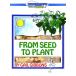FROM SEED TO PLANT (2023/4/11 продажа )( зарубежная запись DVD)[ новый товар ]