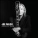 [͢CD][]Joe Walsh / Analog Man (硼륷)