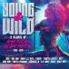 [͢CD][]VA / YOUNG & WILD: DECADE OF AMERICAN GLAM METAL 1982-1992 (2025/5/30ȯ)