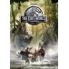 LOST WORLD: JURASSIC PARK(͢����DVD)[����]