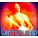 [͢CD][]Jimi Hendrix / Winterland [Highlights] (ߡإɥå)