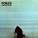 ͢CDFoals / What Went Down (ե륺)