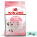 ���C�����J�i�� �L�g�� 2kg �q�L�p ����12�J����܂� ��������̎q�L�p �S�L��p �h���C�t�[�h �L���b�g�t�[�h �����h�{�H ROYALCANIN ���K�i