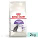 ���C�����J�i�� �X�e�A���C�Y�h 2kg ���L�p ����12�J����`7�΂܂� ��D�E�����ő���₷���L�p �S�L��p �h���C�t�[�h �L���b�g�t�[�h ROYALCANIN ���K�i