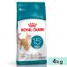 ���C�����J�i�� �G�C�W���O 15+ 4kg 15�Έȏ� ������L�p �S�L��p �h���C�t�[�h �L���b�g�t�[�h �����h�{�H ROYALCANIN ���K�i